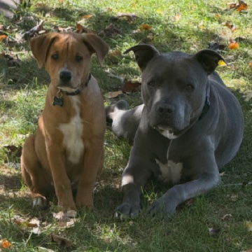 Barkley & Sky Gross