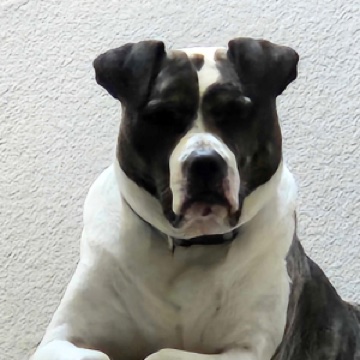 Chico Ramirez