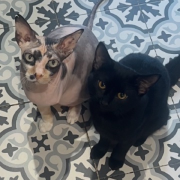 Cleo & Peggy Underwood