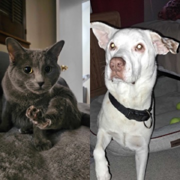 Lady Issie & Sir Reggie Olson