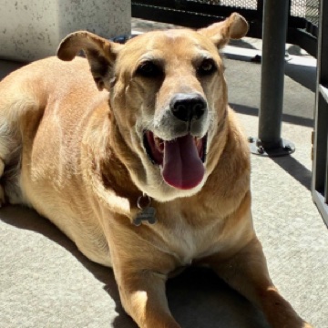 Marmaduke "Duke" Becker
