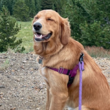 Nala Gross